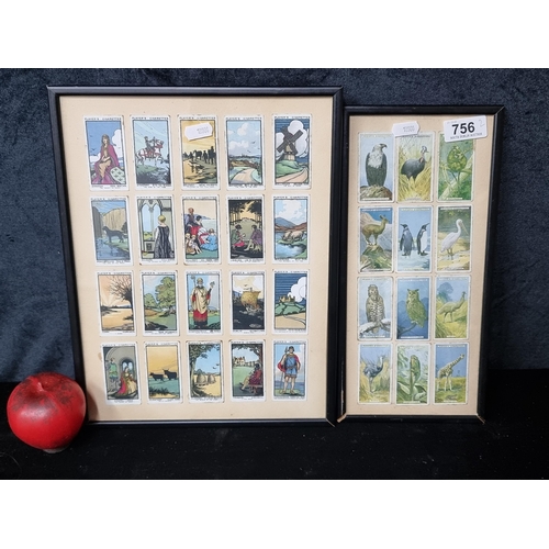 756 - Two framed displays featuring vintage Player's Cigarette cards showing bird species from around the ... 