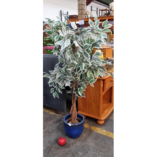 947 - Vibrant faux Ficus plant in a cobalt blue ceramic pot, adding a touch of greenery to any setting.