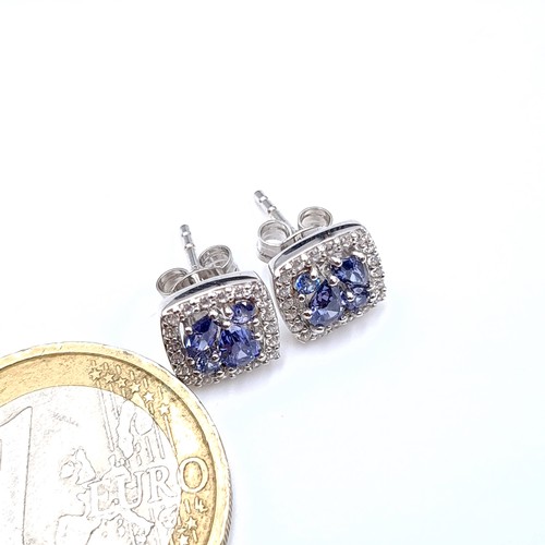 534 - A most attractive pair of tazanite stone stud earrings set in sterling silver with gem stone surroun... 