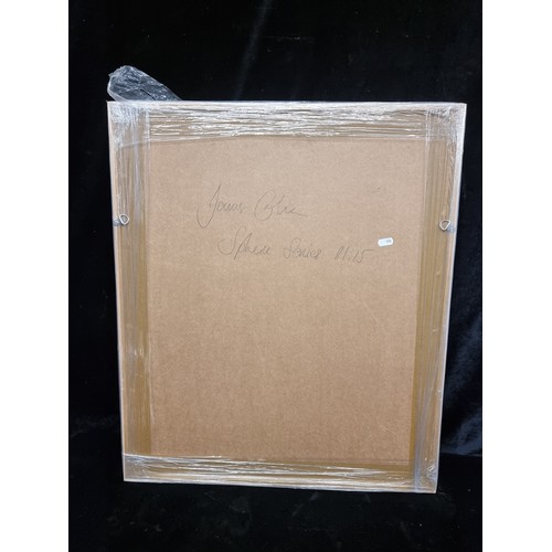 76 - Star Lot: A captivating original James Gilna (Irish, contemporary) raw pigment and casein on paper p... 