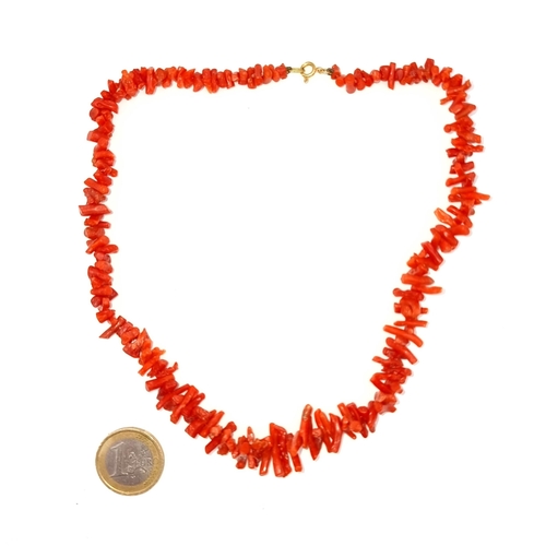 699 - A coral necklace set with an 18K gold clasp, length of necklace 40cm, weight 28 grams.