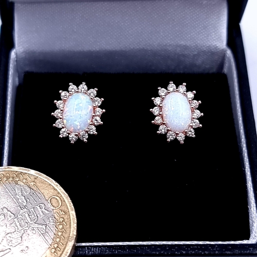 743 - A beautiful pair of rose gold toned opal stud earrings set with gem set surround. Lovey colour play ... 