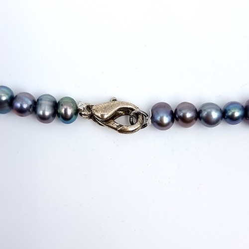 53 - A beautiful multi coloured Fresh Water Pearl Necklace, length 46cm. Set with a lobster clasp.