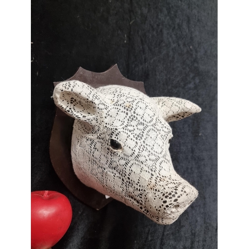 247 - A super cool vintage cast piglet mounted head with cotton lace overlay.