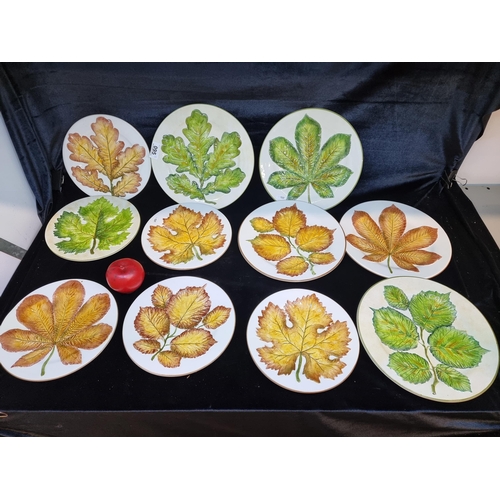 95 - A beautiful collection of 11 Italian made Mariposa plates including dinner and side plates. All feat... 