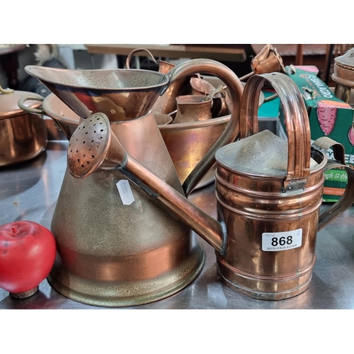 868 - Two charming copper items including a watering can and pitcher.