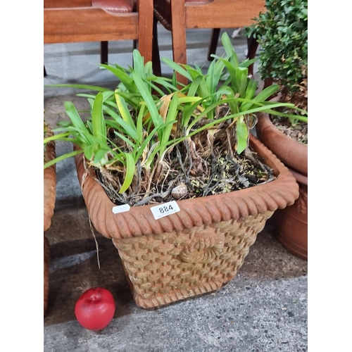 884 - A lovely terracotta planter with rattan effect.