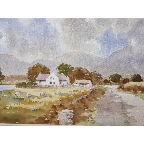 251 - Star Lot: A delightful original Tony Lynch (Dublin, contemporary) watercolour on paper painting titl... 