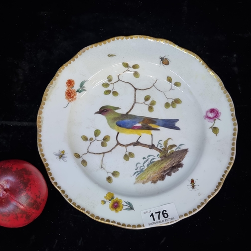 176 - Star Lot: A beautiful 18th/19th Century Meissen plate boasting a rich exotic bird, floral and insect... 