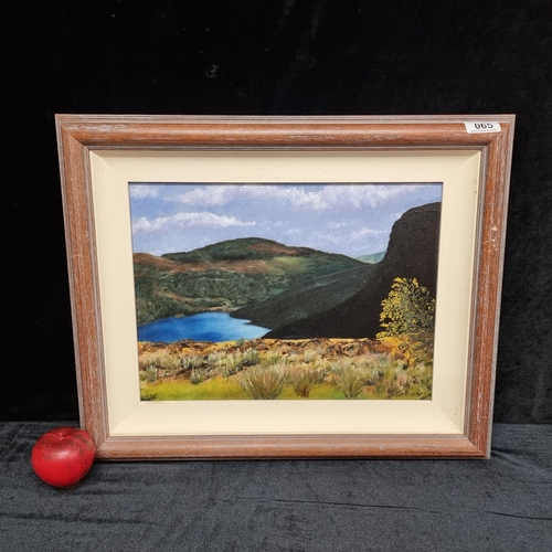 65 - An original contemporary oil on canvas painting of a Summer landscape. Signed C. Collins bottom righ... 