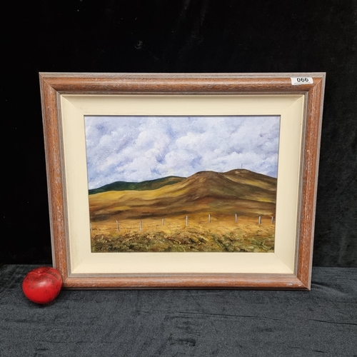 66 - An original contemporary oil on canvas painting of a rolling landscape with dramatic sky. Signed C. ... 