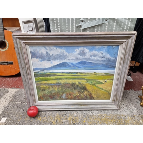 802 - An original David Goldberg (Irish contemporary landscape artist) oil on board painting titled 'Summe... 