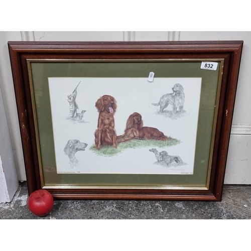 832 - A high quality print of work originally by Nigel Hemming showing studies of red setters. Published b... 