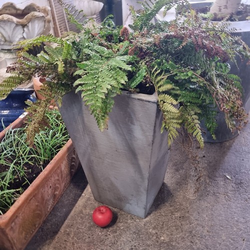 850 - A large grey  planter housing a large Fern. H55cm