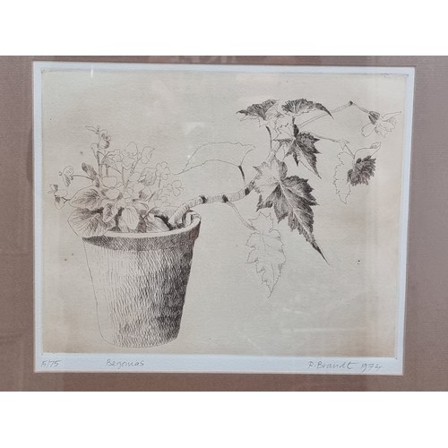 536 - Star Lot: A stunning original Ruth Brandt (Irish, b.1936 - d.1989), limited edition (15/75) etching ... 