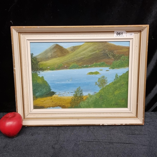 61 - An original oil on board painting featuring a rural landscape scene a large lake nestled in a lush v... 