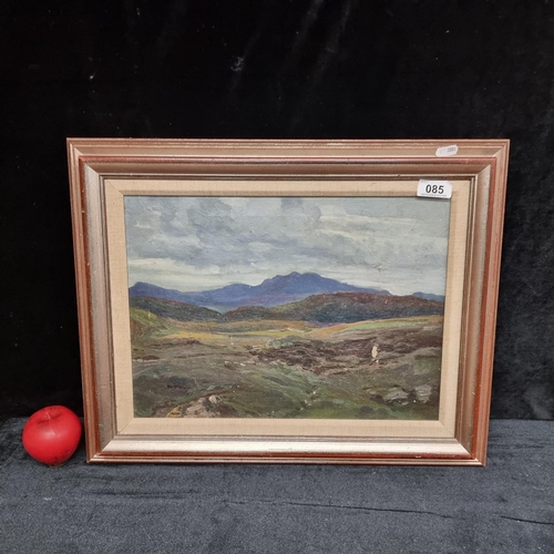 A fabulous antique Irish School original oil on canvas painting dating to 1919. Pictures a rural Donegal landscape scene in a palette of lavender greys, lush greens and grey whites. Wonderful achievement of natural light. Unsigned to front, inscribed indistinctly with title and artist name to verso, reading "....Bog and ...Mountains Donegal, M. L. Tattoro 1919." Slight losses to canvas.
