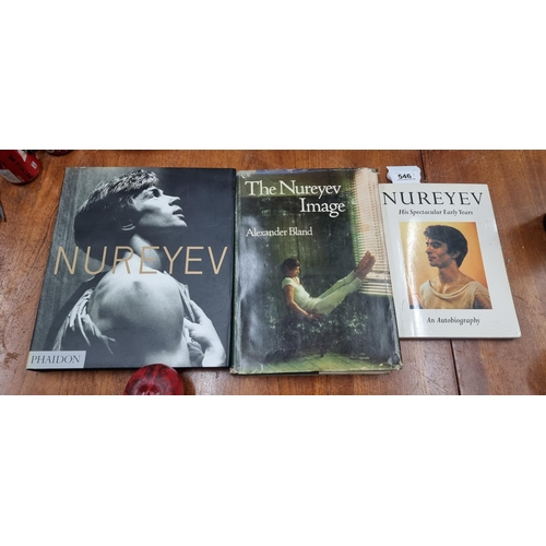 546 - Three interesting books on the life and works of iconic Russian dancer Rudolf Nureyev. From the amaz... 