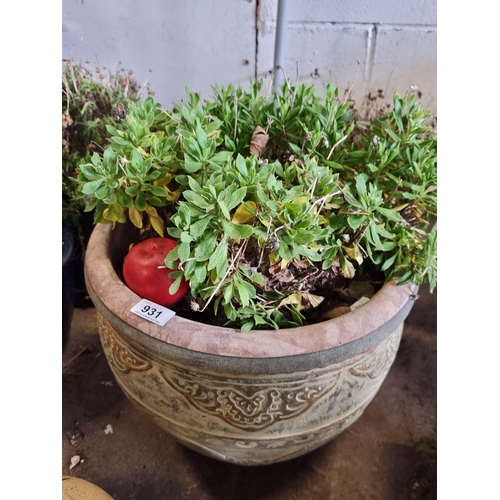 931 - A very heavy terracotta garden planter decorated with neo classical designs. Holding a commidendrum ... 