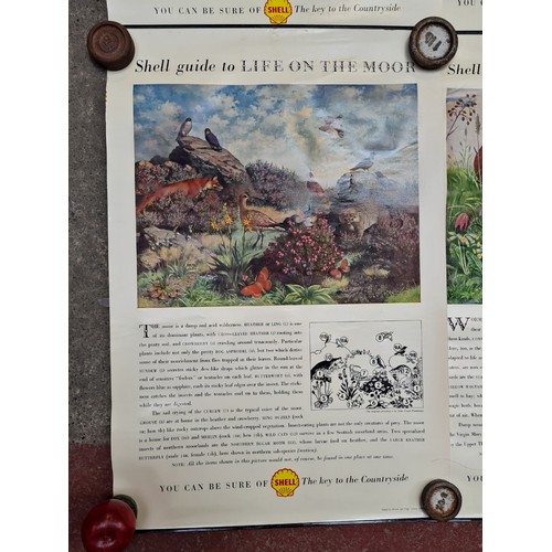 122 - A set of four vintage posters from Shell Oil titled 'A Shell Guide to life in the Mountain, Meadow, ... 