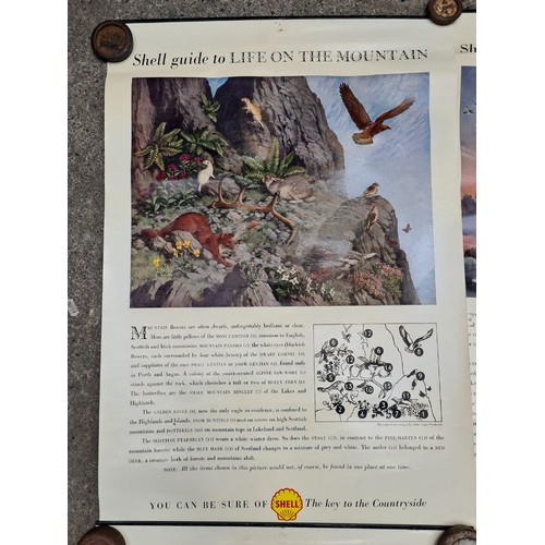 122 - A set of four vintage posters from Shell Oil titled 'A Shell Guide to life in the Mountain, Meadow, ... 