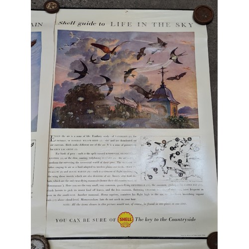 122 - A set of four vintage posters from Shell Oil titled 'A Shell Guide to life in the Mountain, Meadow, ... 