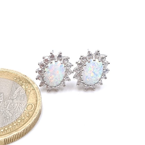 777 - A pair of opal stone gem set stud earrings , mounted in sterling silver, old new stock.