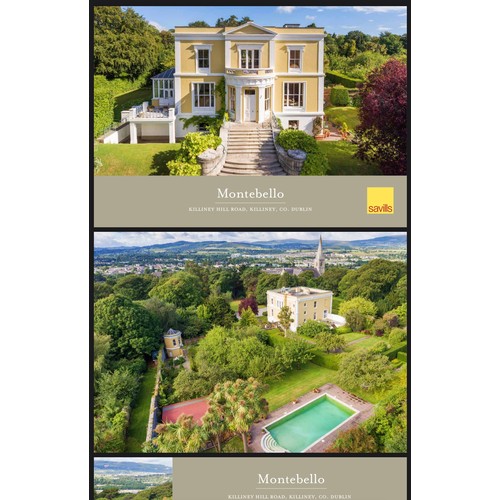 401 - Lot 401-668 are from the Amazing Montebello house in Killiney, The house was built between 1867-1873... 