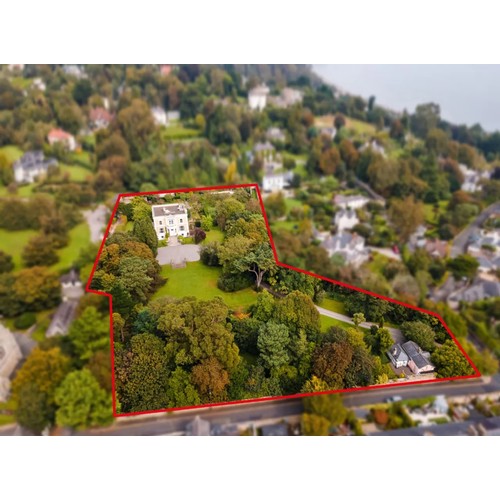 401 - Lot 401-668 are from the Amazing Montebello house in Killiney, The house was built between 1867-1873... 