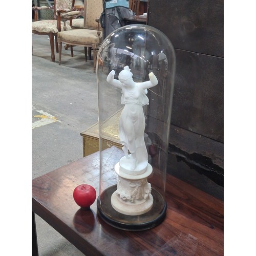 717 - Star Lot : Two antique 19th century items including a very large glass dome with wooden plinth, alon... 