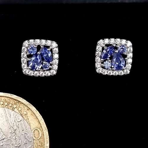 671 - A pair of tazanite stone stud earrings with white sapphire surround, old new stoc, never worn, boxed... 