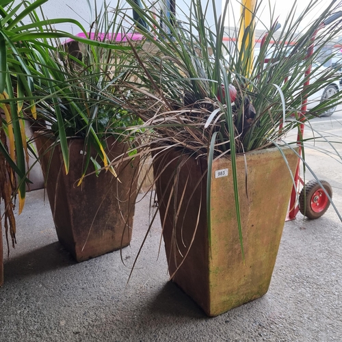 983 - A large pair of Terracotta planters, from a lovely  house in Monkstown. Plater about 45cm tall exclu... 