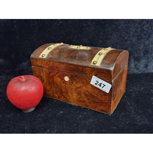 247 - A fabulous antique 19th century Rosewood storage chest featuring brass studded detail to top.