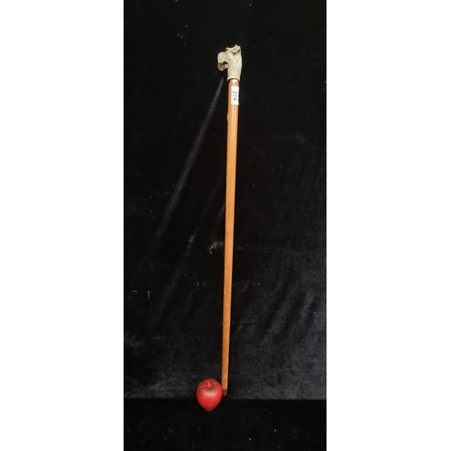 274 - A charming vintage gentleman's walking stick featuring a hand-carved  dog head handle.