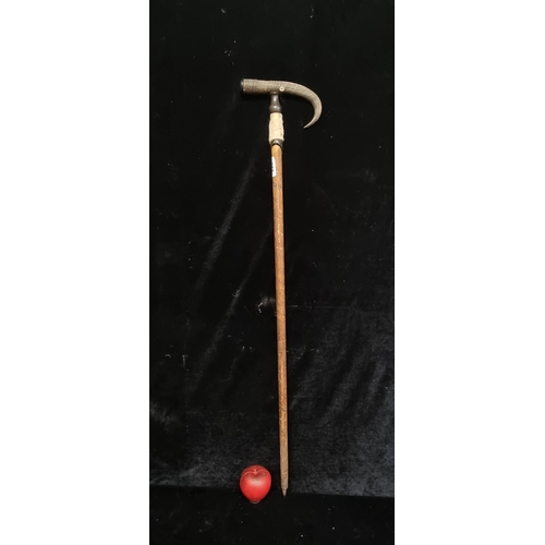 275 - A highly unusual vintage Swiss made gentleman's walking stick featuring an antler handle.