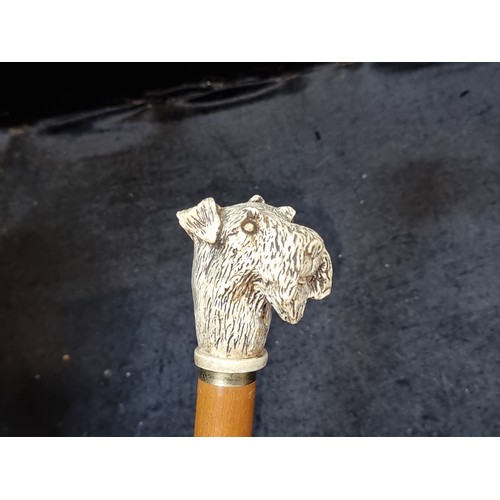 274 - A charming vintage gentleman's walking stick featuring a hand-carved  dog head handle.