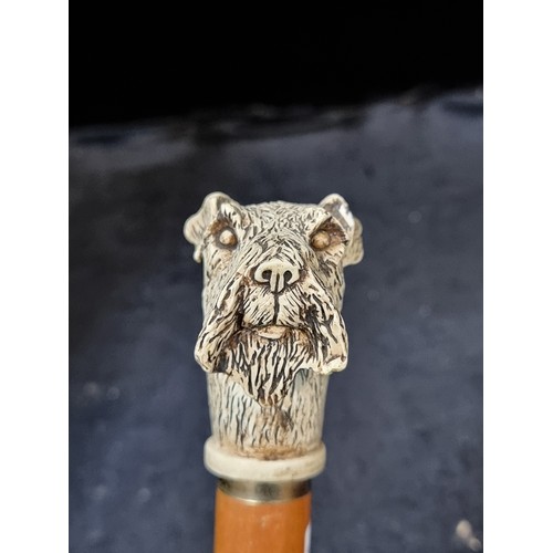 274 - A charming vintage gentleman's walking stick featuring a hand-carved  dog head handle.