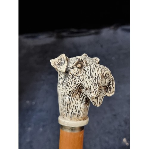 274 - A charming vintage gentleman's walking stick featuring a hand-carved  dog head handle.