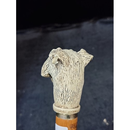 274 - A charming vintage gentleman's walking stick featuring a hand-carved  dog head handle.