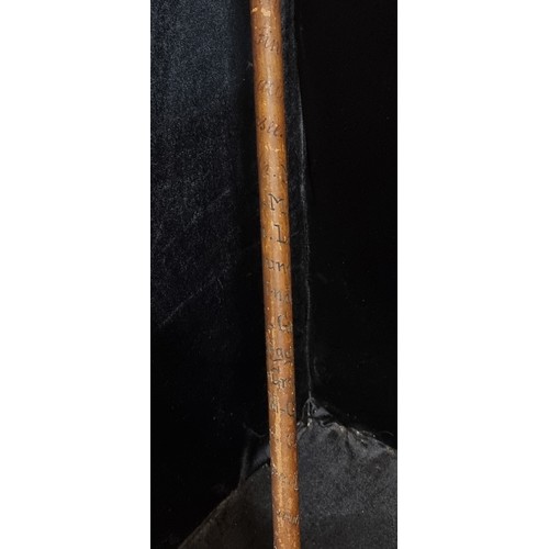 275 - A highly unusual vintage Swiss made gentleman's walking stick featuring an antler handle.