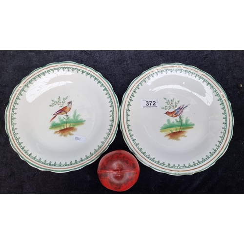 372 - A pair of super pretty French hand painted plates featuring birds of Paradise with gilt rim.