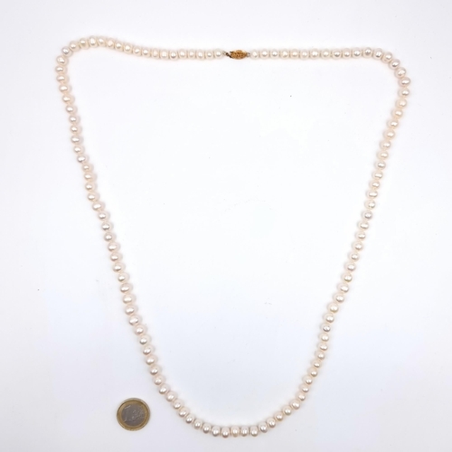 525 - A double row natural fresh water pearl necklace set with 9K gold clasp, boxed.