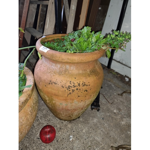 807 - A super urn shaped terracotta planter. From the lovely home in Dalkey.