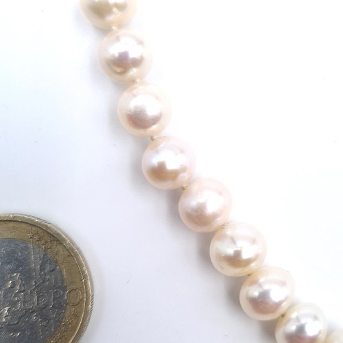 525 - A double row natural fresh water pearl necklace set with 9K gold clasp, boxed.