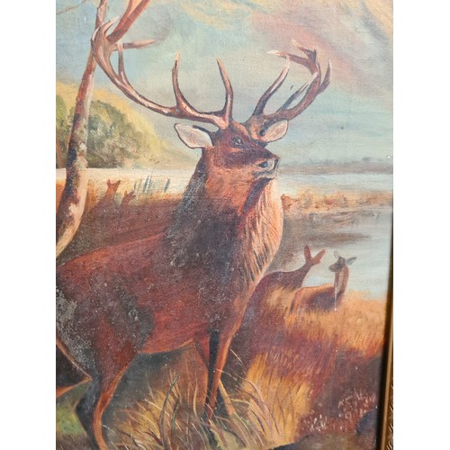 365 - Star Lot: A stunning pair of early 20th century oil on canvas paintings. Both featuring majestic sta... 