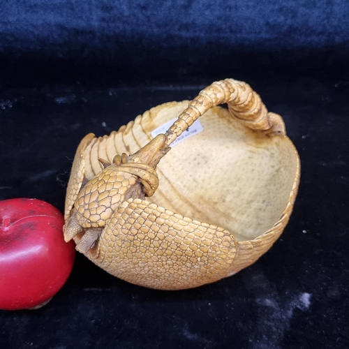 144 - An armadillo taxidermy in the form of a basket. Intact condition.