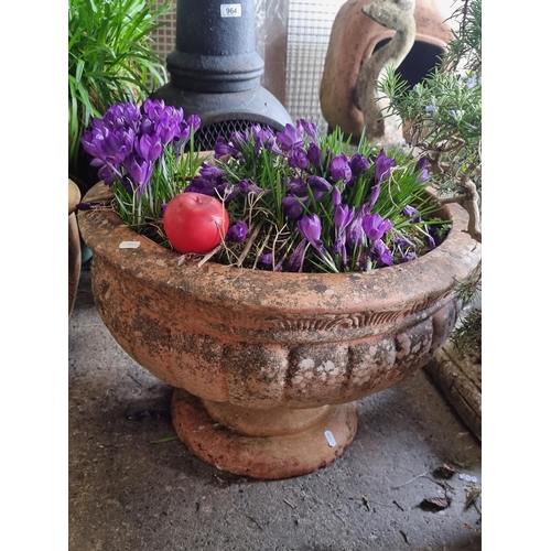 963 - A large two piece rustic terracotta planter, adorned with a verdant array of purple crocus vernus. T... 