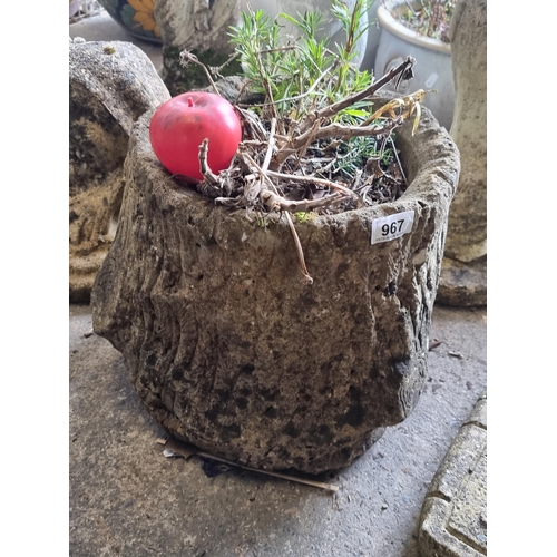 967 - A rustic vintage stone planter in the form of a knotted tree stump, harboring a sapling.