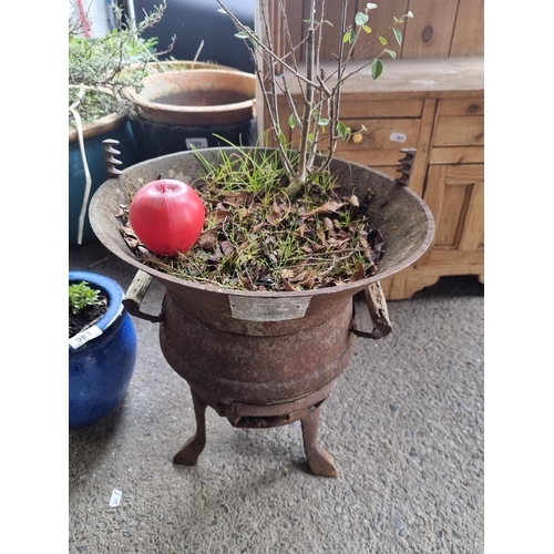 975 - A vintage cast-iron pot belly stove, ideal for garden enthusiasts to fill with plants.