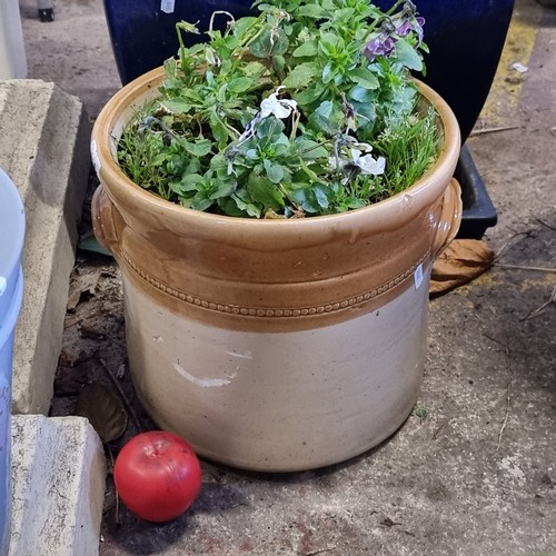 956 - A lovely and heavy ceramic garden planter in a honey and cream glaze, holding pretty pansy plants.